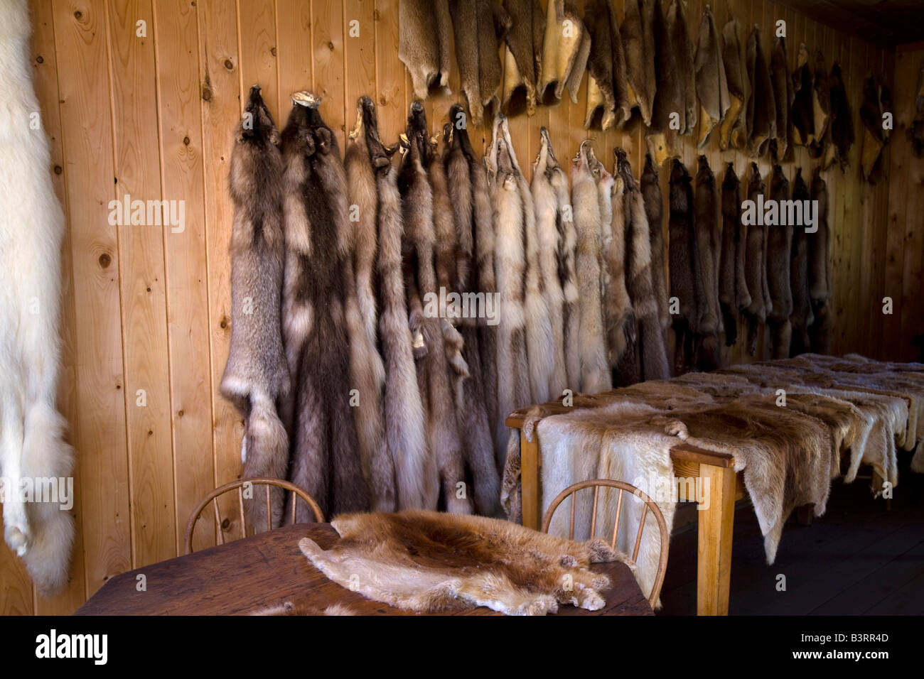 Furs pelts dry goods trapping supplies at trading post Fort Saint