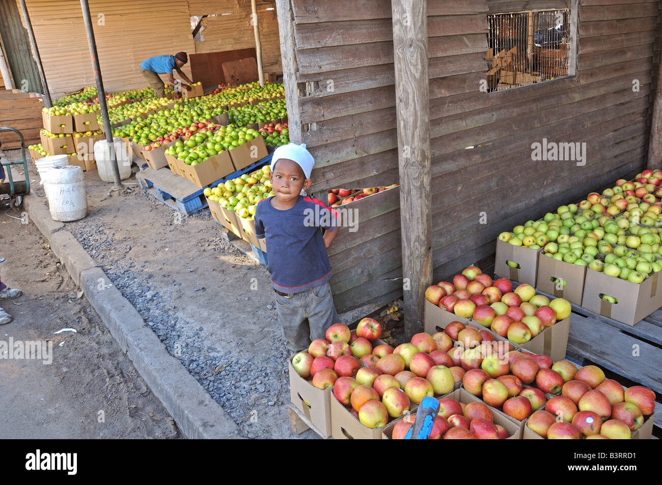 Informal Vegetable and Fruit Market in Epping, Cape Town Stock Photo Alamy