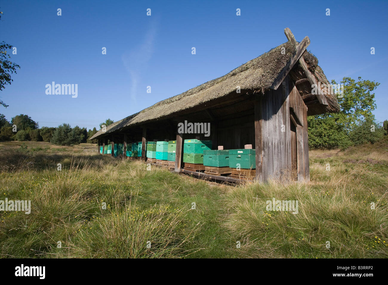 Beehives in a characteristic apiary in the natural preserve Lueneburger Heide Stock Photo