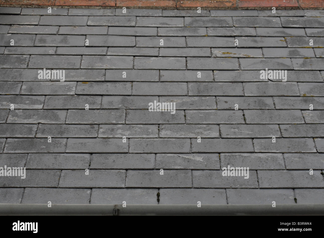 bangor blue slate roof Stock Photo - Alamy