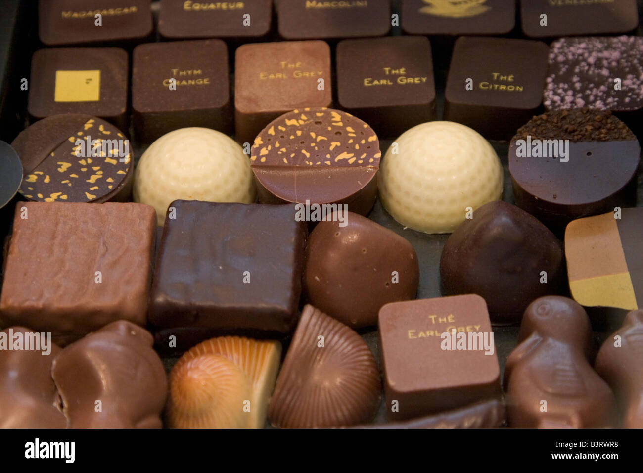 Huge choice and range of luxury Belgian chocolates displayed for sale at popular shop PIERRE MARCOLINI in Brussels Belgium Stock Photo