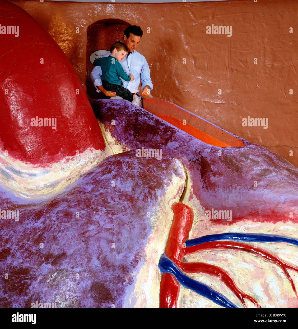 FATHER & SON EXPLORE 'THE HEART' A PHILADELPHIA ICON, THE FRANKLIN INSTITUTE SCIENCE CENTER, PHILADELPHIA, PENNSYLVANIA, USA Stock Photo