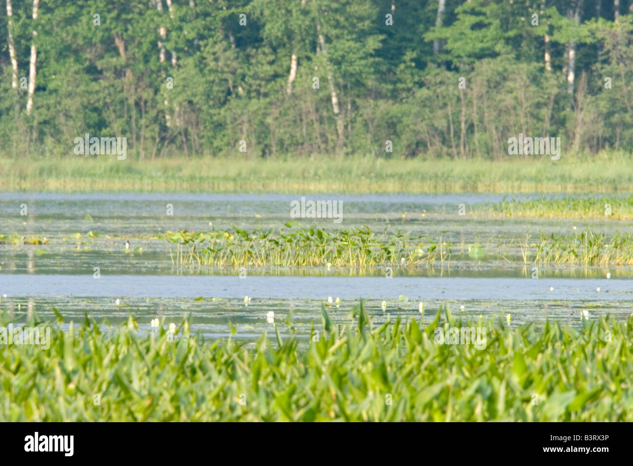 Tamarack Aitkin County Minnesota United States Stock Photo