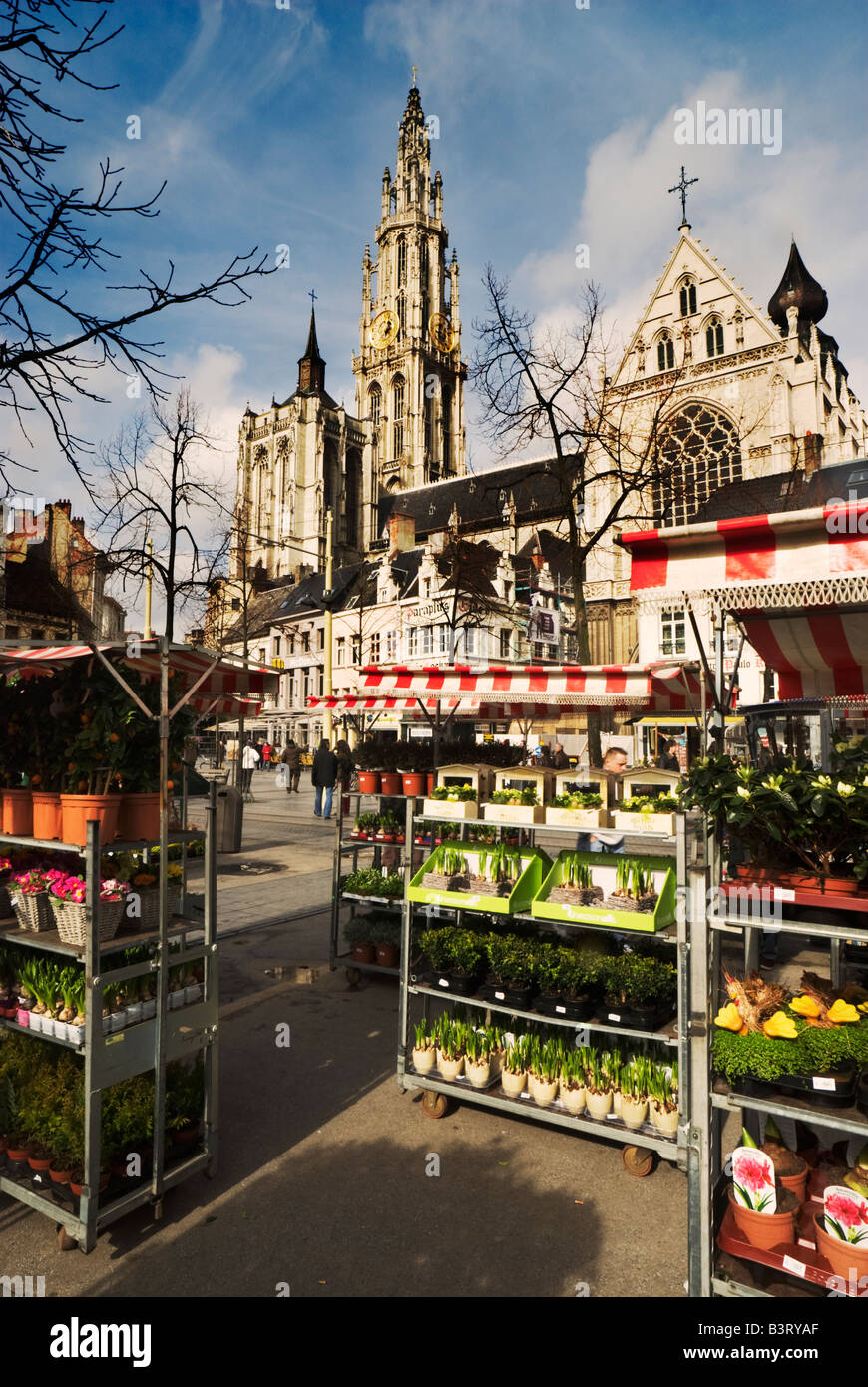 Flower market in the market square grote markt antwerp hires stock