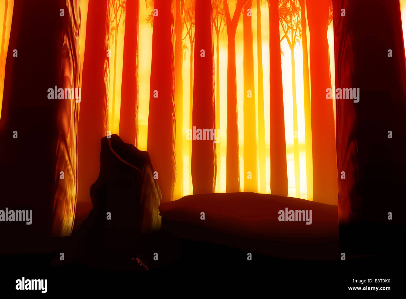 Forest at sunset Stock Photo - Alamy