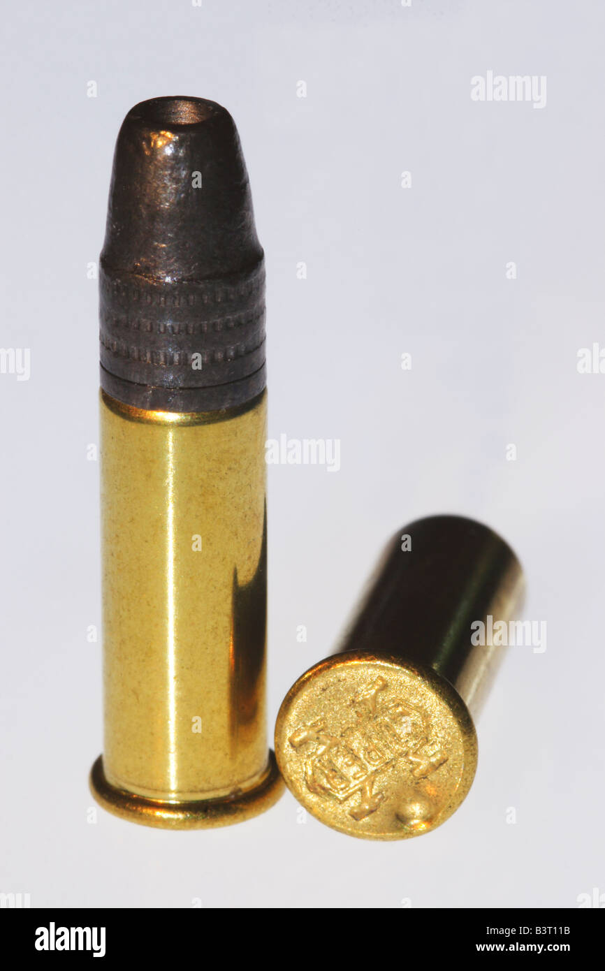 Subsonic Rimfire Ammunition & Spent Case. Stock Photo