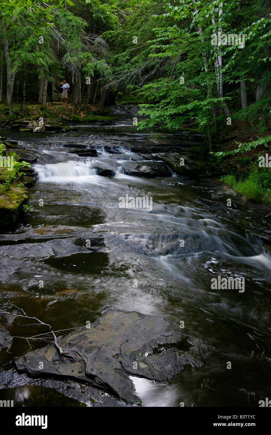 Laughing Whitefish River Michigan in USA wild rustic stream hires