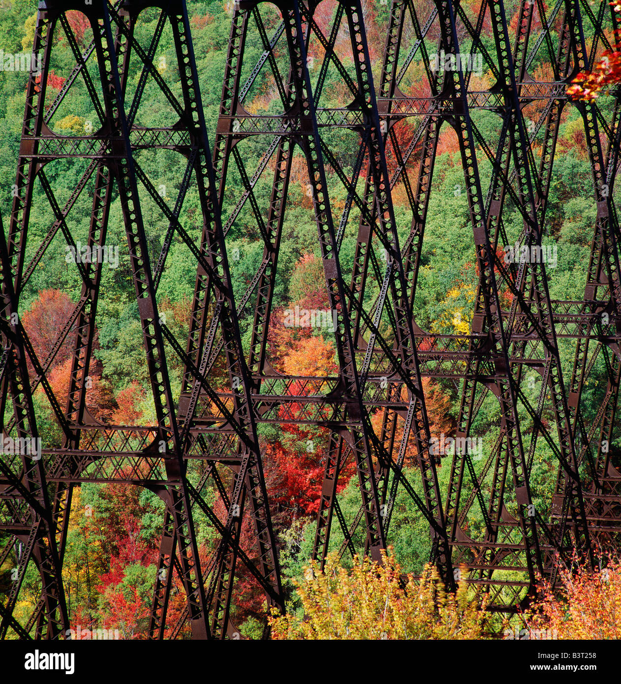 Kinzua Viaduct, Kinzua Bridge State Park. Highest railroad bridge in