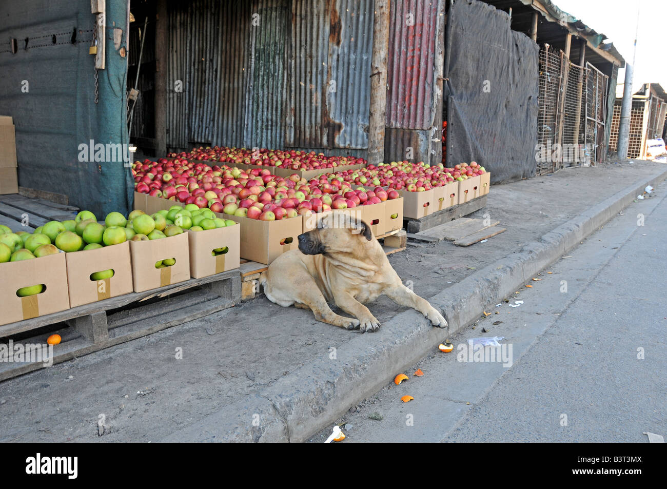 Fruit and vegetable market south africa hires stock photography and