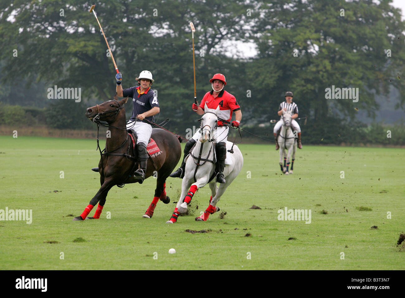 Polo tournament match sports horseback rider horse riding motion man