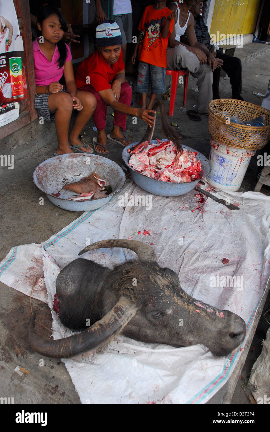 fresh meat market, water buffalo head for sale(approx.$80), mayong , buleleng regency , bali , indonesia Stock Photo