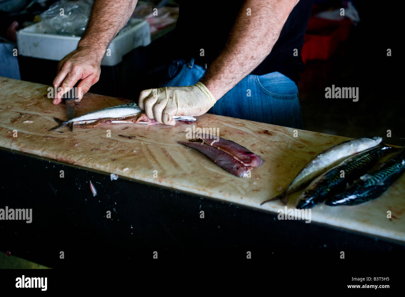 Mackerel being filleted. Stock Photo