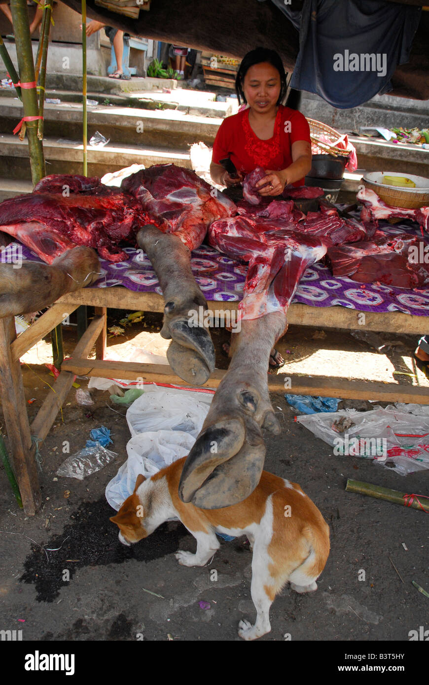 fresh meat market,water buffalo for sale , mayong , buleleng regency , bali , indonesia Stock Photo