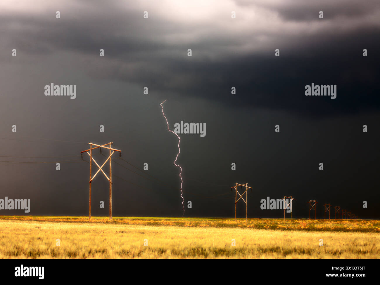 Lightning striking behind Saskatchewan power line Stock Photo - Alamy