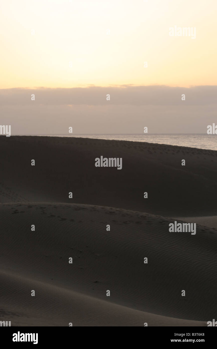 Sand dunes at Maspalomas at dawn a 250 hectare natural reserve sculpted