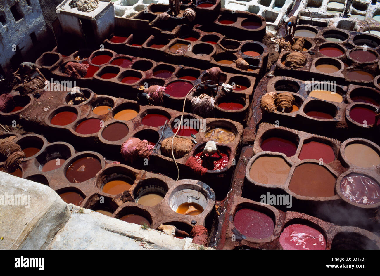 Morocco, Fez. Workers in the dyeing pits of a leather tannery. Stock Photo