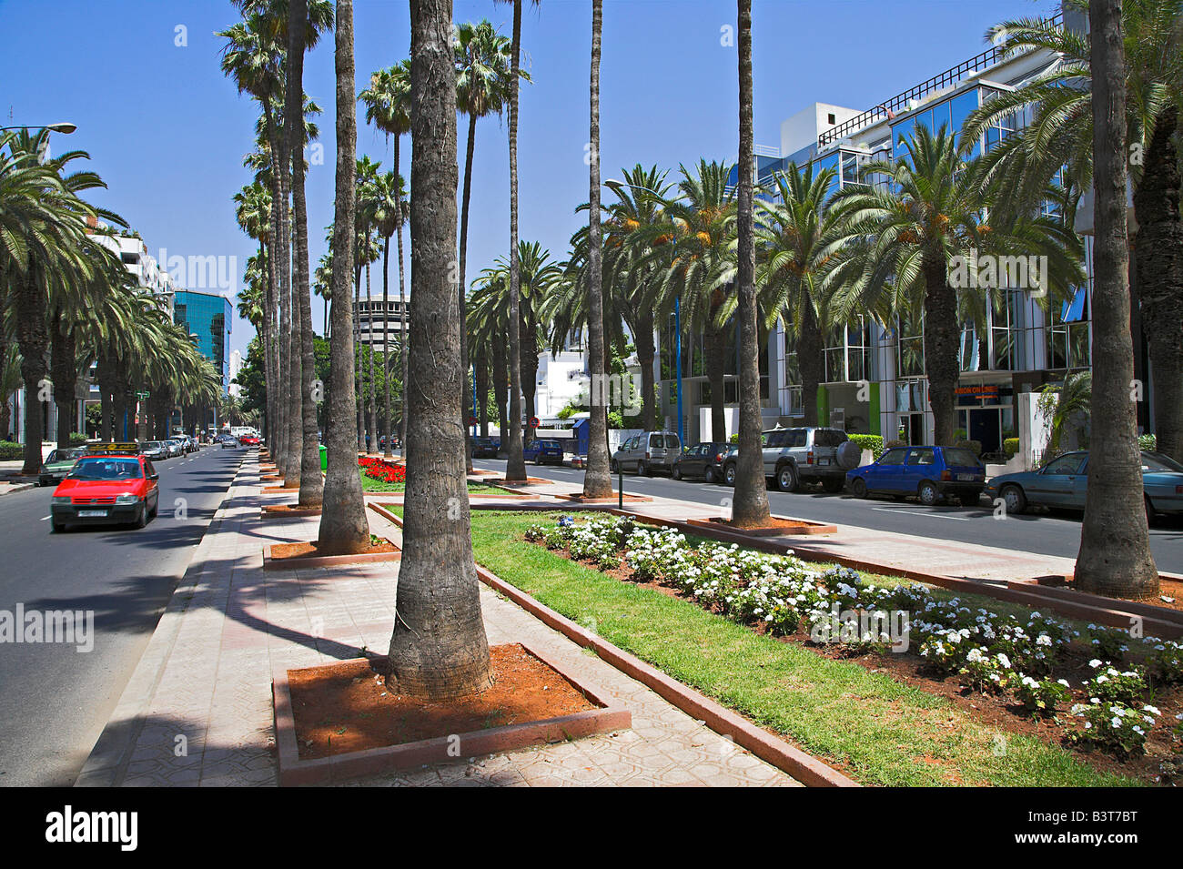 Morocco, Maghreb, Casablanca. The Boulevard de Rachidi is typical of the wide tree lined streets in the smart Lusitania district of Casablanca. Stock Photo