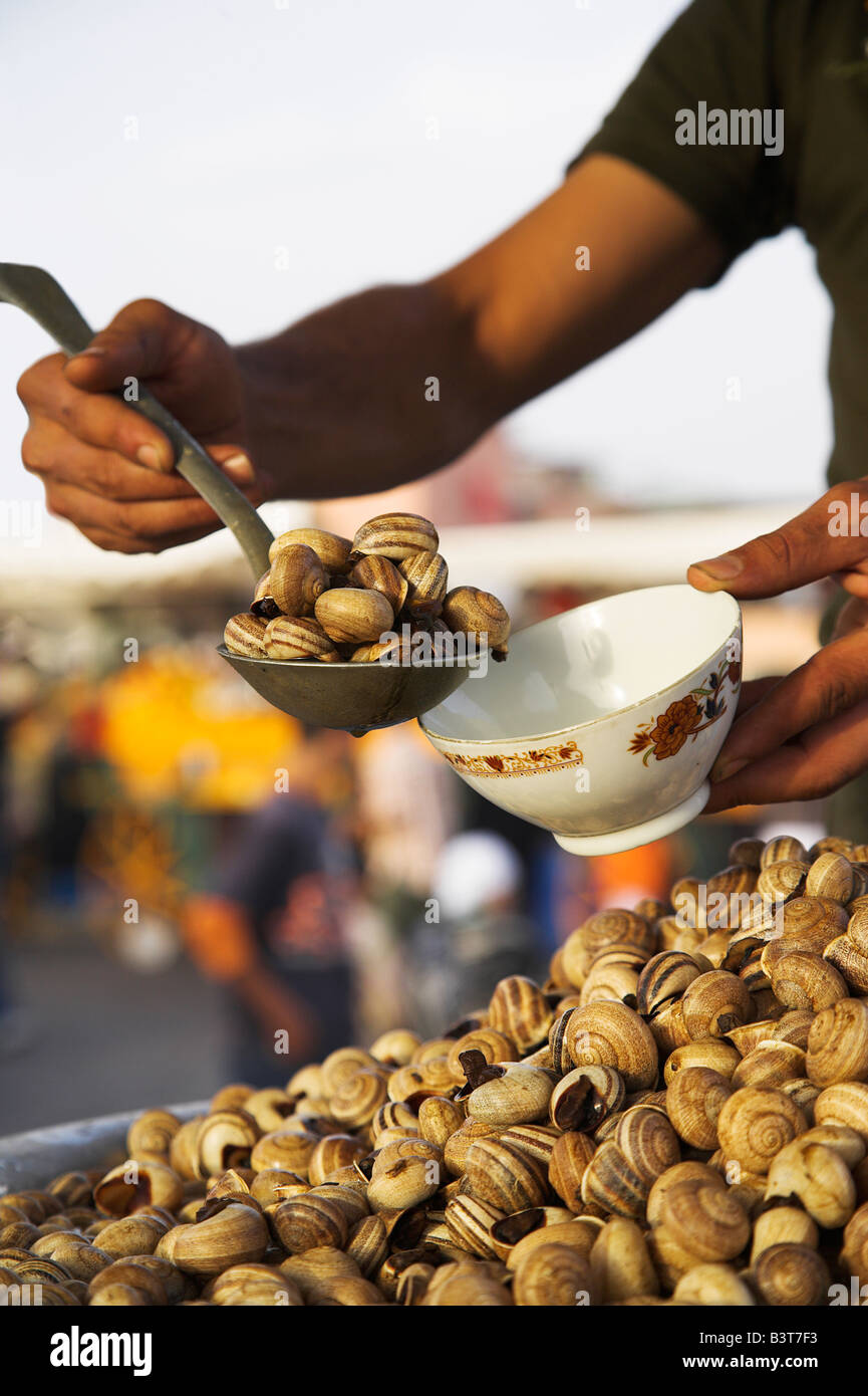 Morocco, Tangier. Snails for sale at one of the many food stalls that