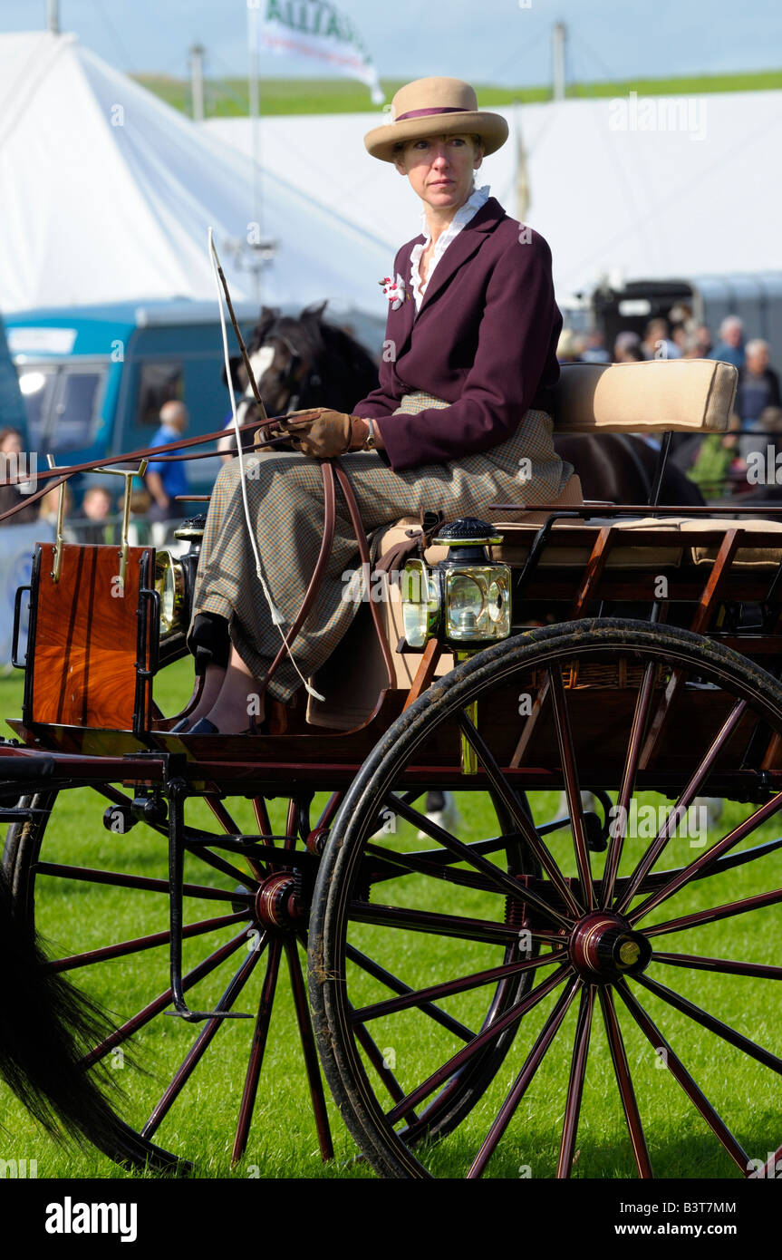 Woman driving a horse and carriage Stock Photo Alamy