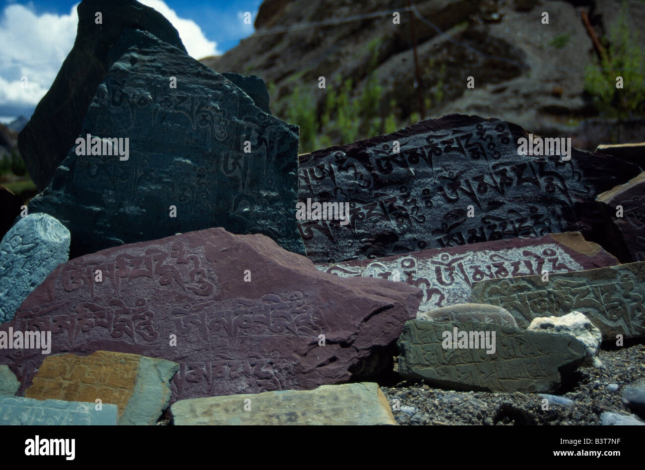 India, Ladakh. Mani or prayer stones inscribed with the mantra Om mani padme hum Stock Photo