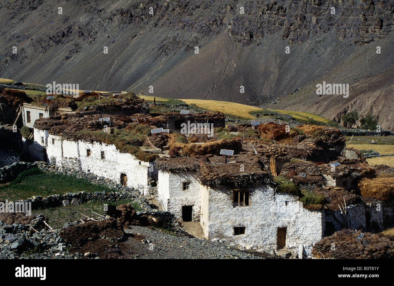 India, Ladakh, Zanskar. Traditional houses at Testa, with solar panels