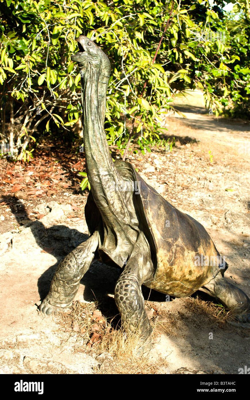 Mauritius, Ile aux Aigrettes. Bronze sculpture of the extinct Rodrigues giant tortoise, Cylindraspis vosmaeri. Stock Photo