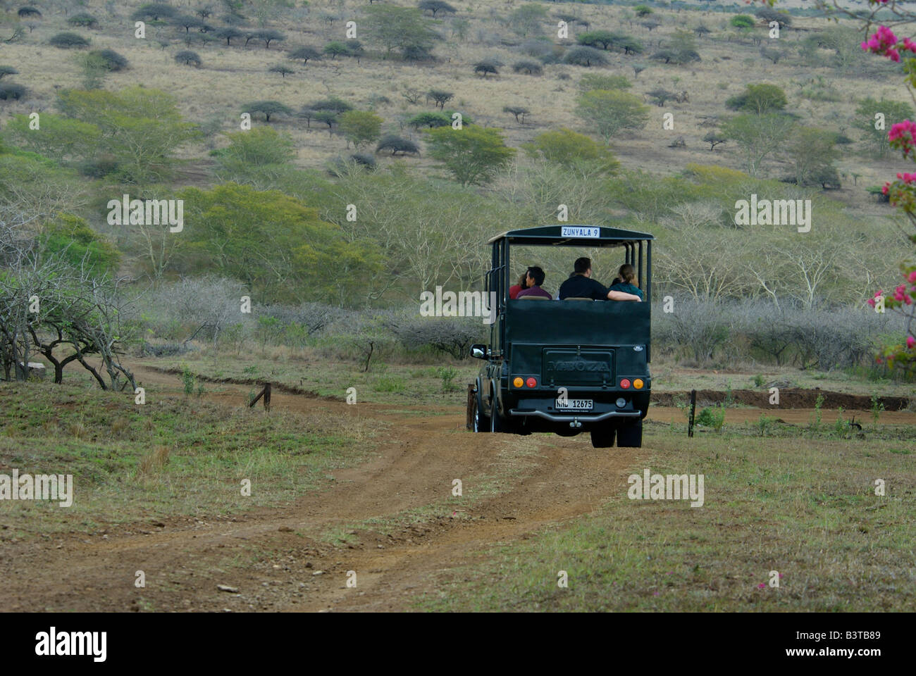 Africa, South Africa, KwaZulu Natal, Hluhluwe, Zulu Nyala Game Reserve