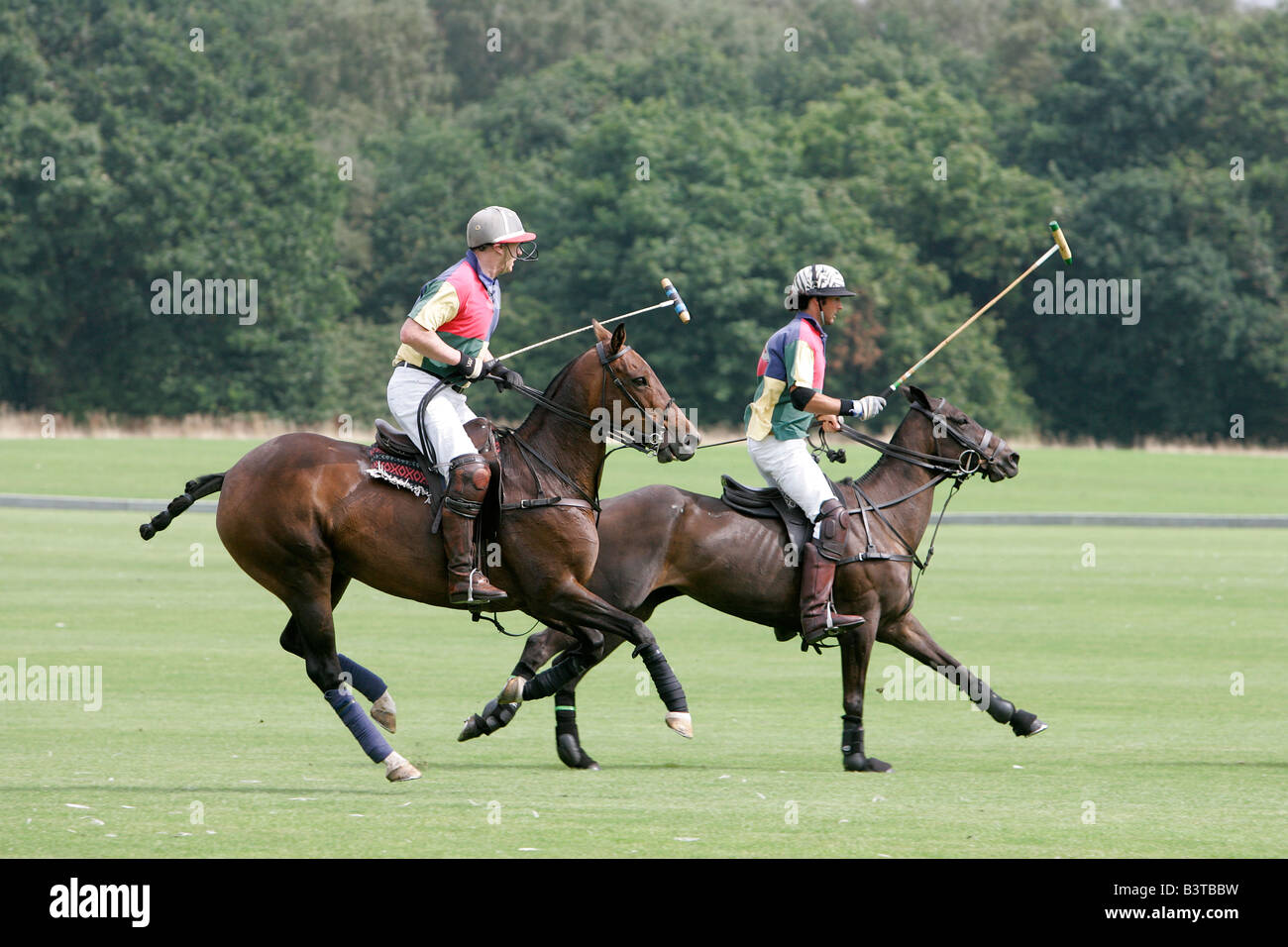 Polo tournament match sports horseback rider horse riding motion man