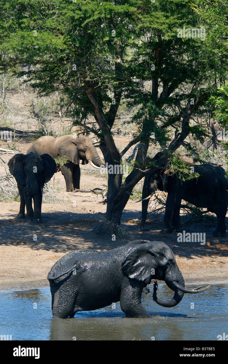 Westville hires stock photography and images Alamy