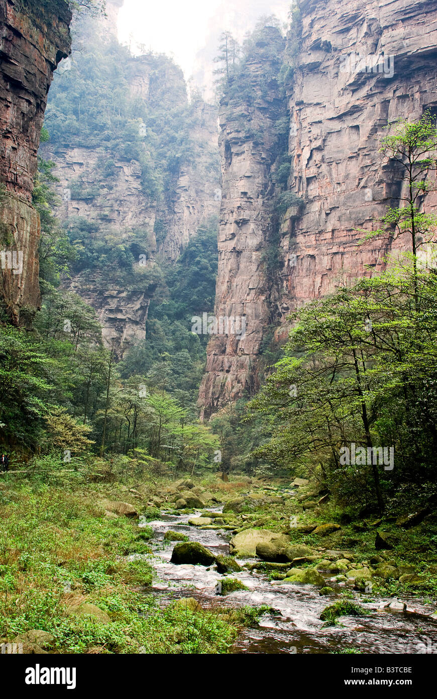 Asia, China, Hunnan Province, Zhangjiajie National Forest Park Stock Photo Alamy Asia, China, Hunnan Province, Zhangjiajie National Forest Park Stock Photo Alamy