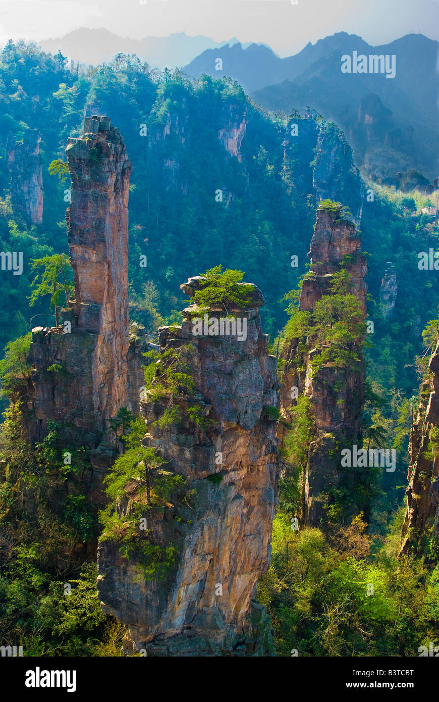 Asia, China, Hunnan Province, Zhangjiajie National Forest Park Stock Photo Alamy Asia, China, Hunnan Province, Zhangjiajie National Forest Park Stock Photo Alamy