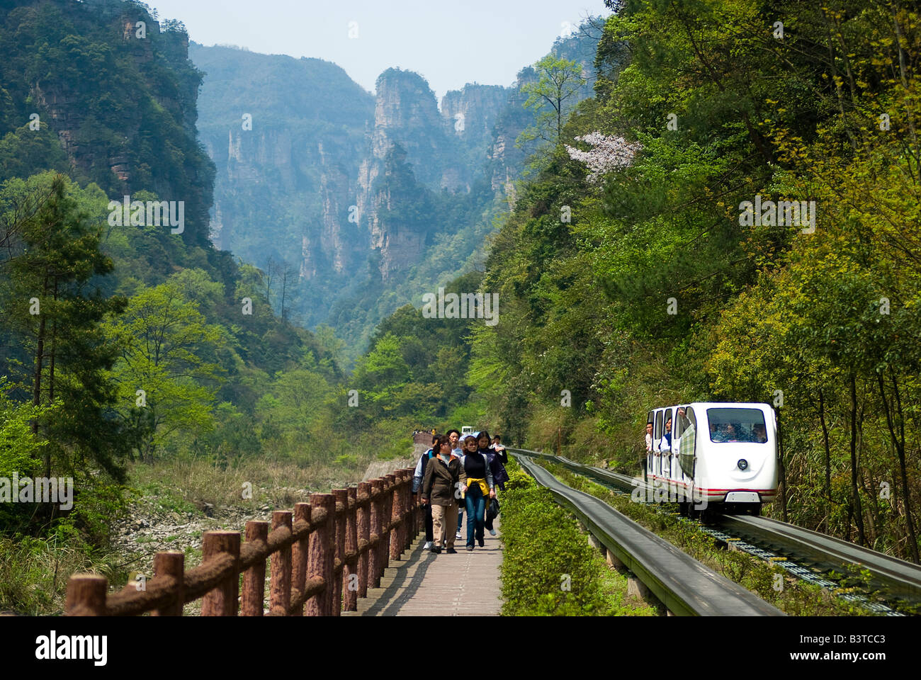 Asia, China, Hunnan Province, Zhangjiajie National Forest Park. Stock Photo