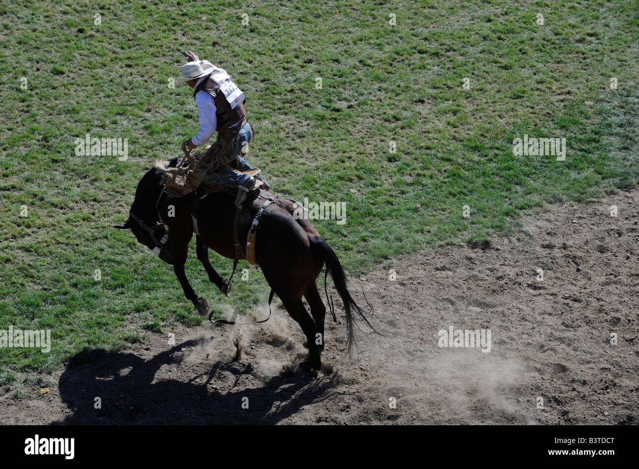 cowboy riding bronc in pro rodeo wild ride tough horse difficult ride Stock Photo