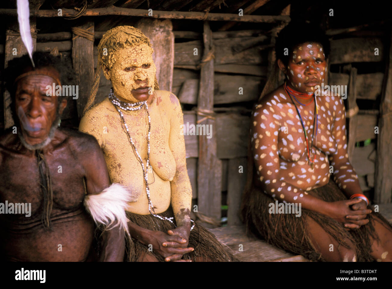 Oceania, Indonesia, Irian Jaya. The Dani people. Stock Photo