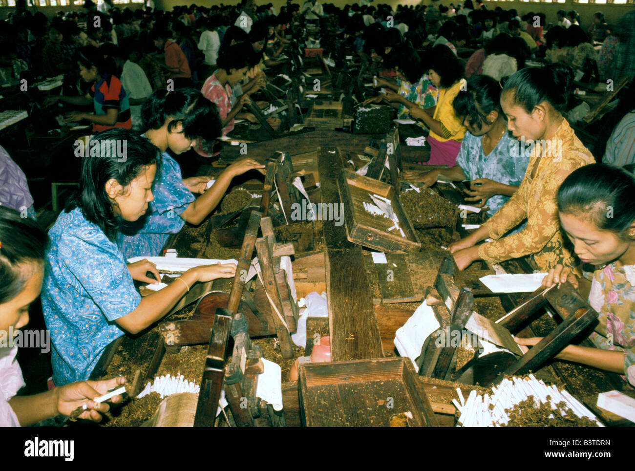 Oceania, Indonesia, Java. Cigarette factory Stock Photo - Alamy