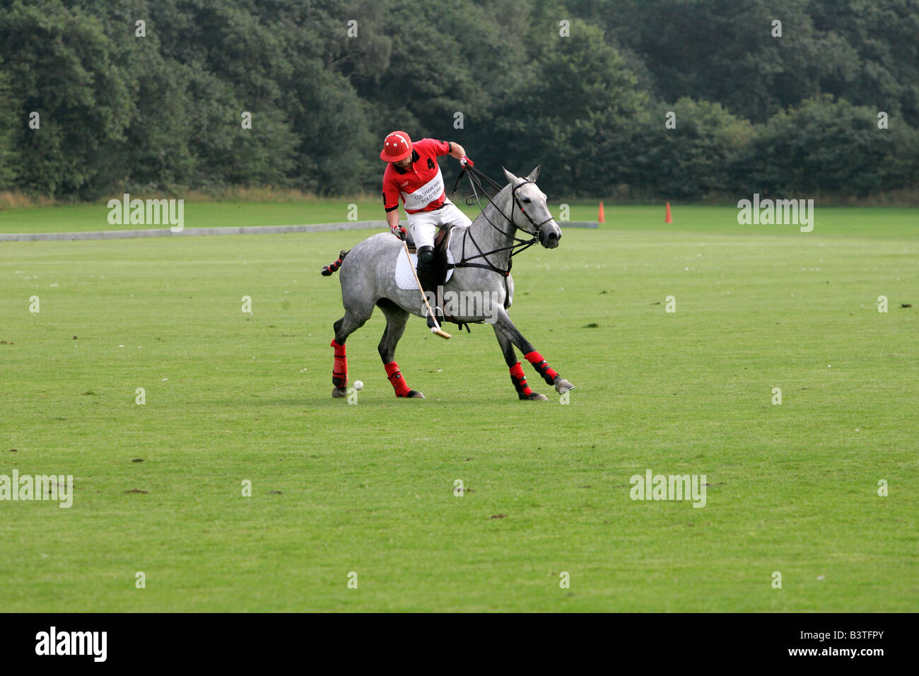 Polo tournament match sports horseback rider horse riding motion man