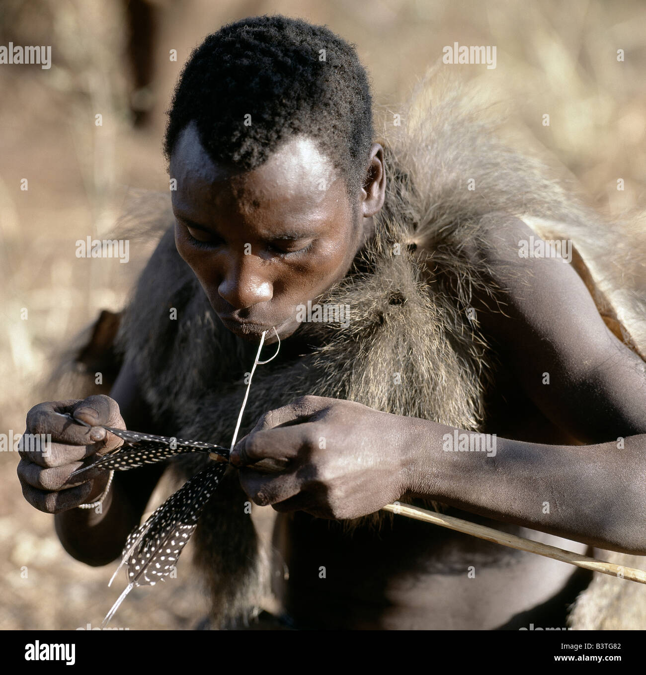 Tanzania, Northern Tanzania, Lake Eyasi. A Hadza hunter wearing a baboon skin fledges an arrow shaft with guinea fowl feathers using the sinews of an antelope.The Hadzabe are a thoUSAnd-strong community of hunter-gatherers who have lived in the Lake Eyasi basin for centuries. They are one of only four or five societies in the world that still earn a living primarily from wild resources.. . Stock Photo