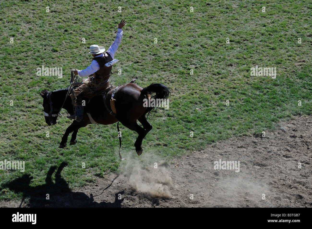American professional Cowboy riding bucking saddle bronco in the air wild ride tough wiley horse caucasian white Stock Photo