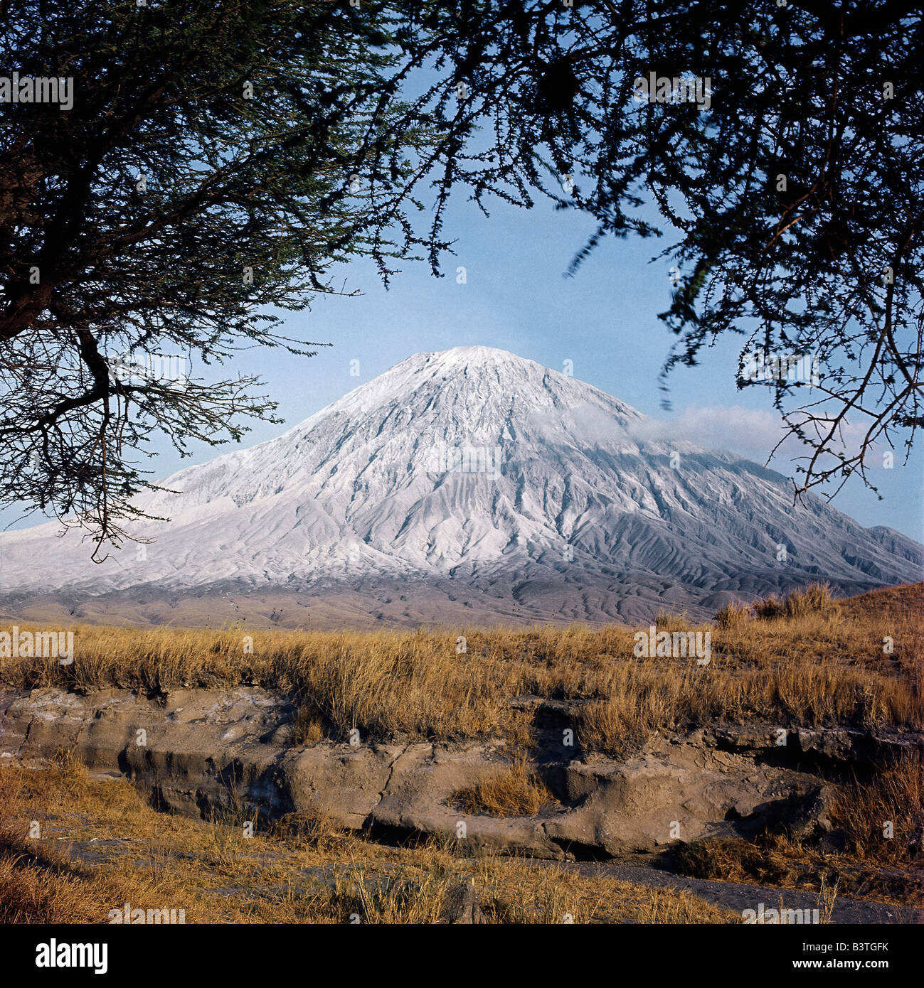 Tanzania, Northern Tanzania, Ol doinyo Lengai, the Maasai's 'Mountain of God', is the only active volcano in the Gregory Rift - an important section of the eastern branch of Africa's Great Rift Valley. It still discharges rare carbonatite lavas, which turn white on exposure to air.This photograph was taken in 1966 when the last major explosive eruption took place, mantling the volcano's flanks with fine ash. Stock Photo