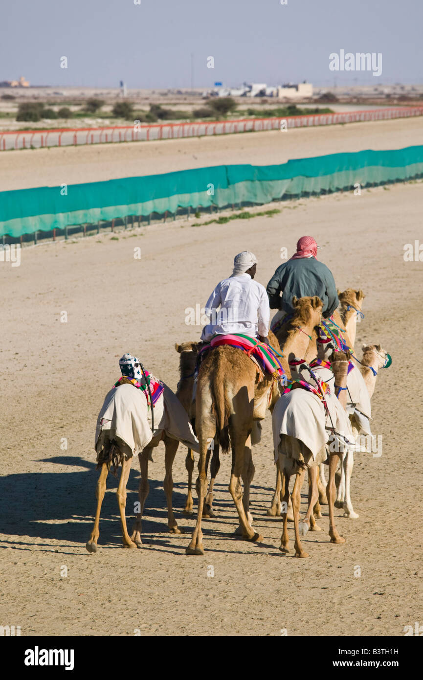 Qatar, Al Shahaniya. Qatar Camel Racing Track Excercising Racing