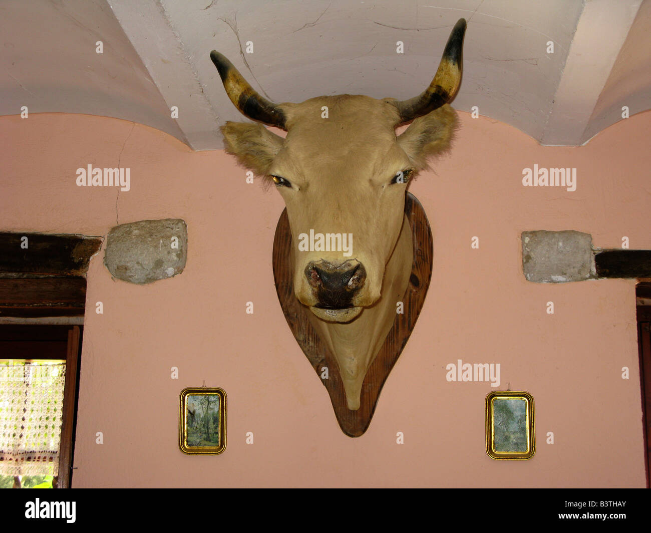 stuffed cow head