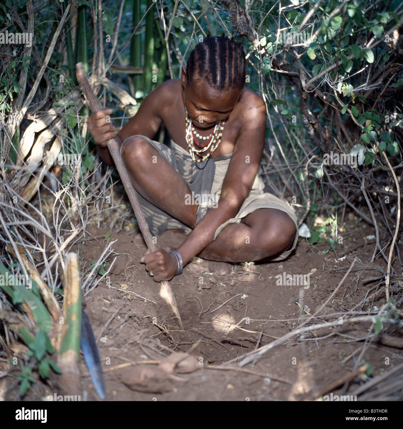 Tanzania, Arusha, Lake Eyasi. A Hadza woman digs for edible tubers with a digging stick.The Hadzabe are a thoUSAnd-strong community of hunter-gatherers who have lived in the Lake Eyasi basin for centuries. They are one of only four or five societies in the world that still earn a living primarily from wild resources. Stock Photo