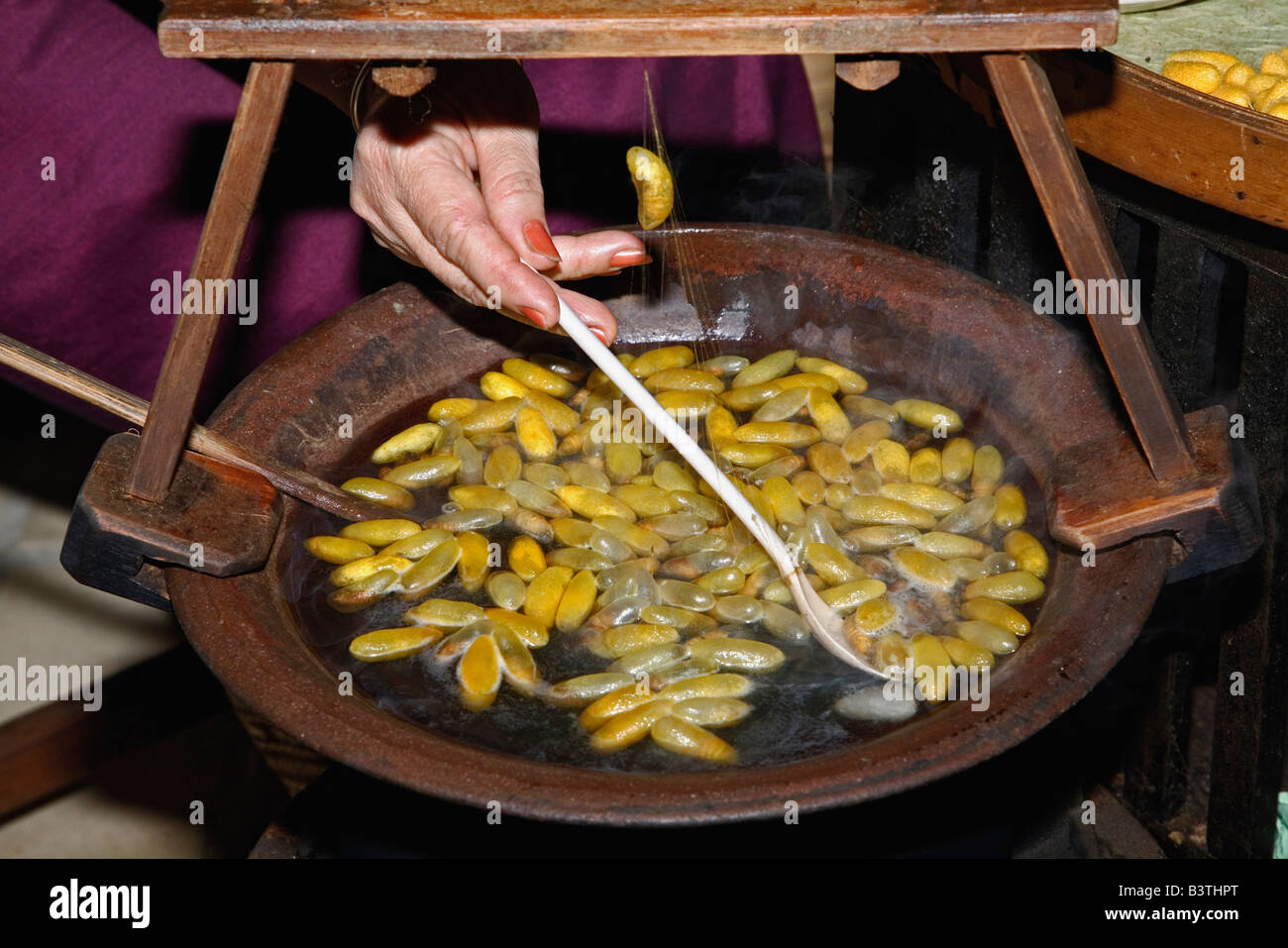 Demonstration showing how silk fibers are harvested from silkworm cocoons, Chiang Mai, Thailand