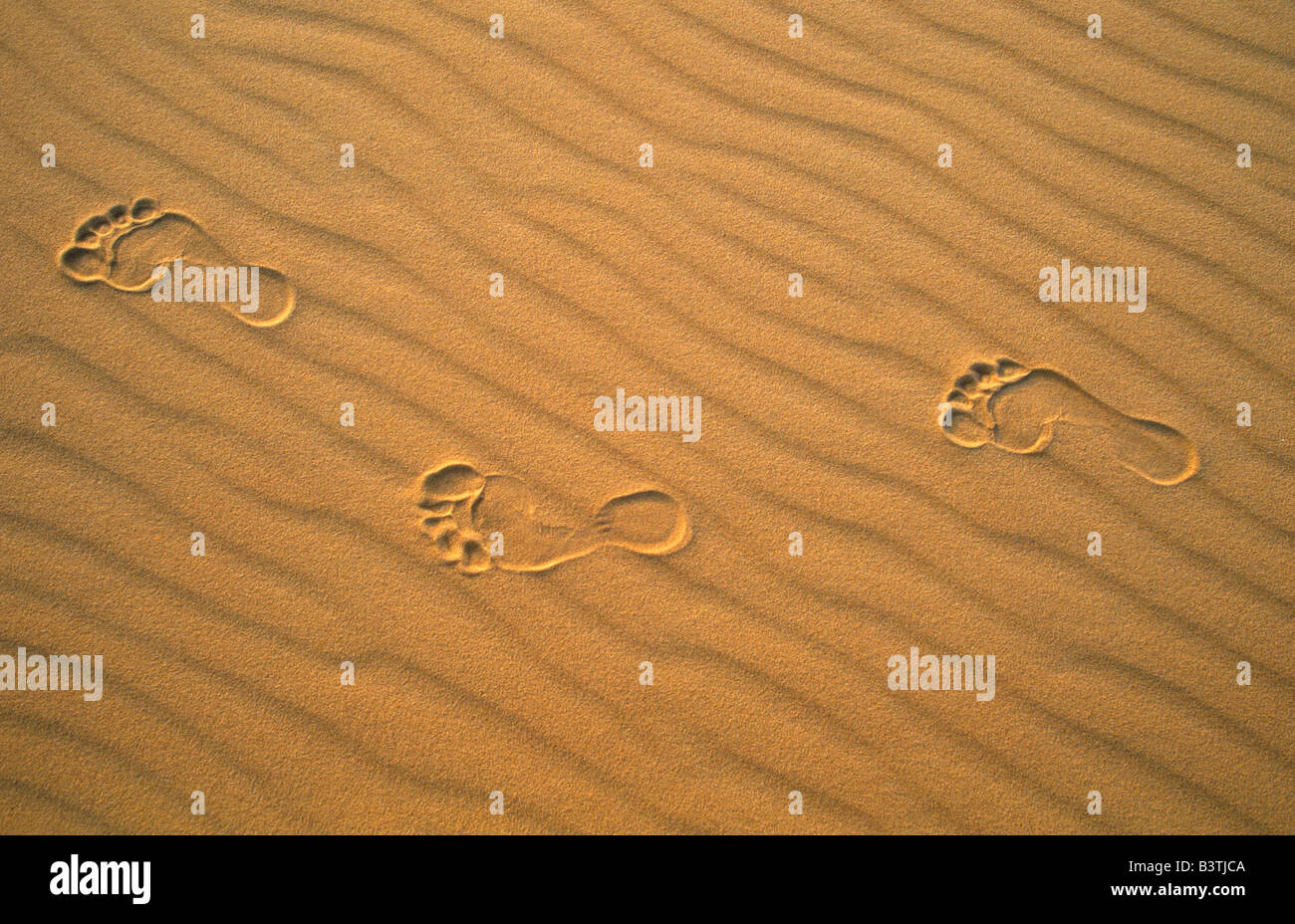foot print in the sand Stock Photo - Alamy