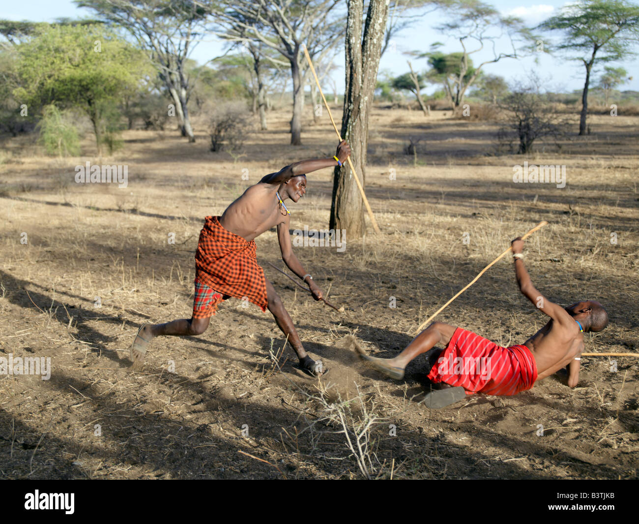 2,529 Stick Fight Stock Photos, High-Res Pictures, and Images