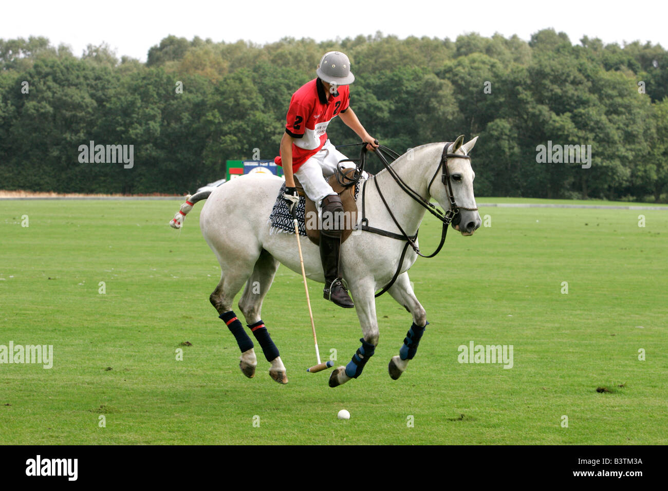 Polo tournament match sports horseback rider horse riding motion man moving outside polo mallet player skill speed sporting eve Stock Photo Alamy