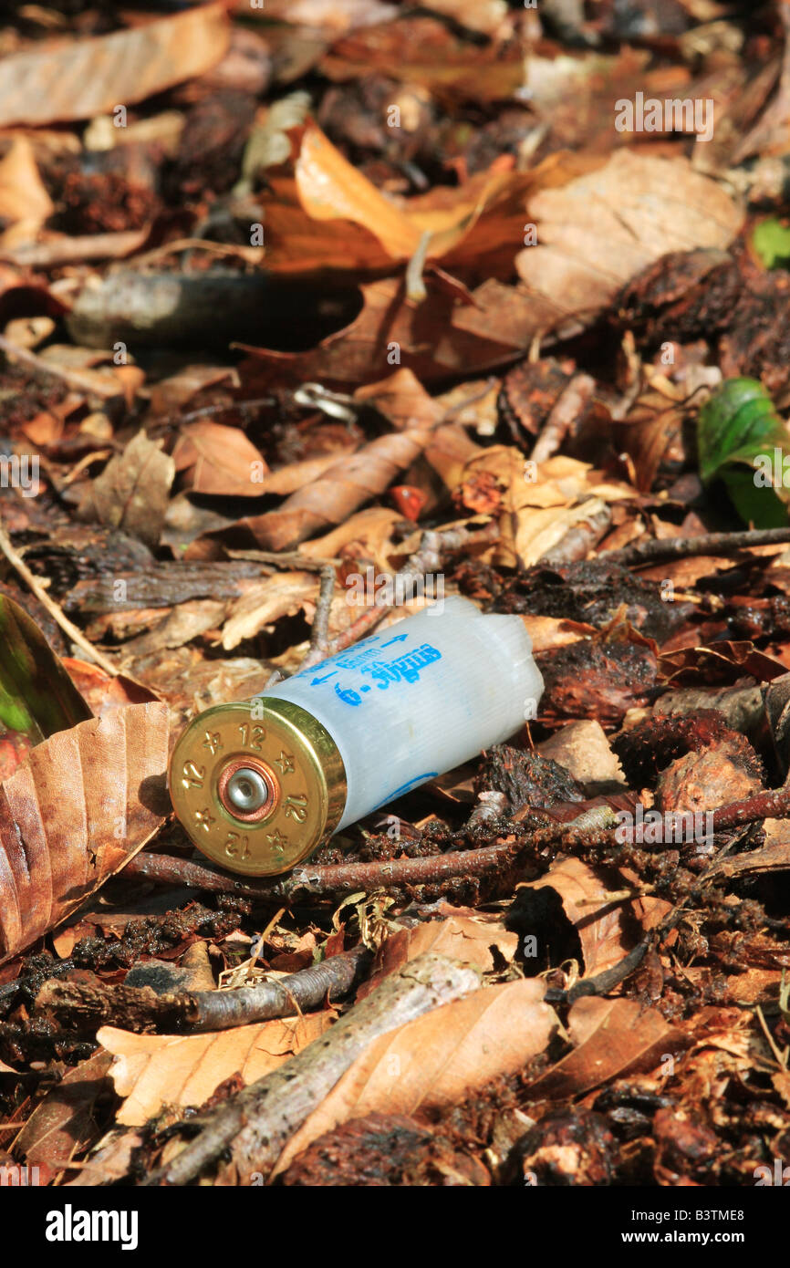 Empty Shotgun Cartridge in Leaf Litter. Stock Photo