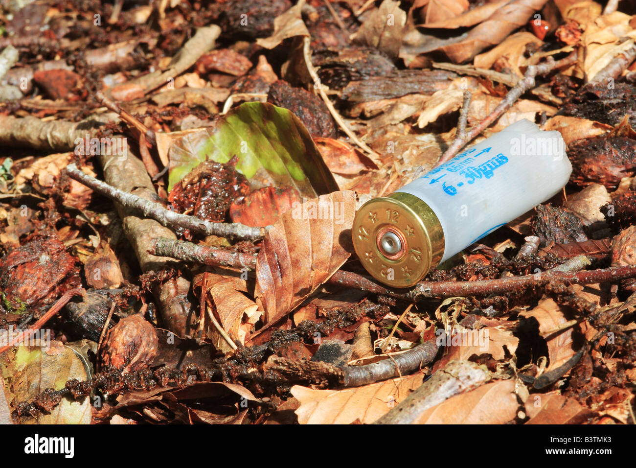 Empty Shotgun Cartridge in Leaf Litter. Stock Photo