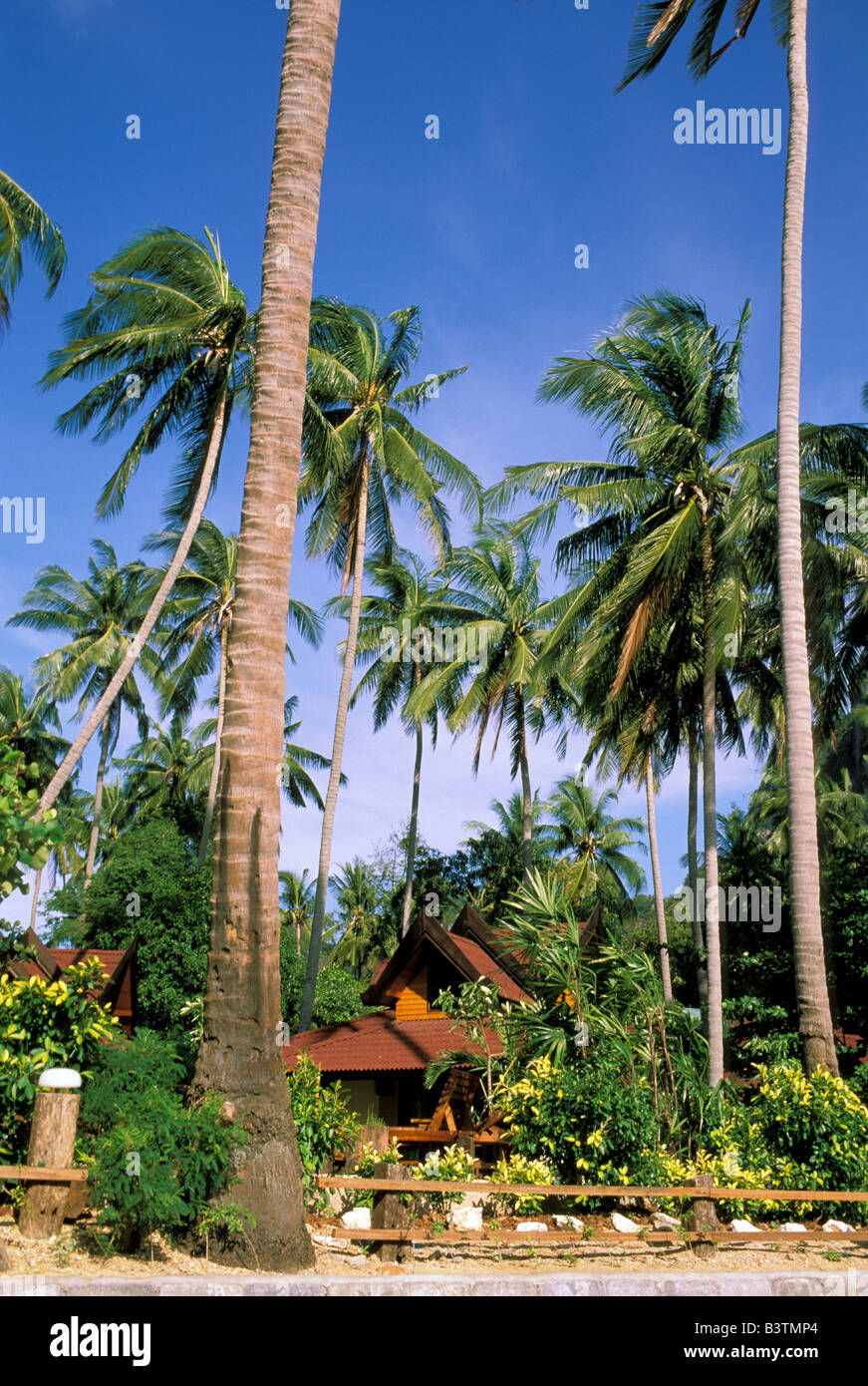 Asia, Thailand, Krabi. East Railay Beach, resort. Stock Photo