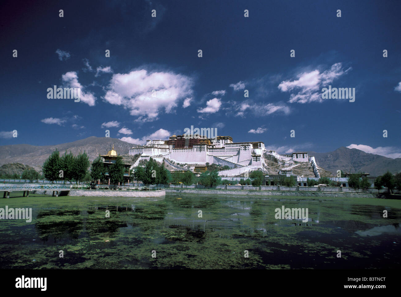 Tibet, Lhasa. Potala Palace Stock Photo - Alamy